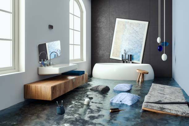 Best Mold removal after water damage  in Cornelius, NC