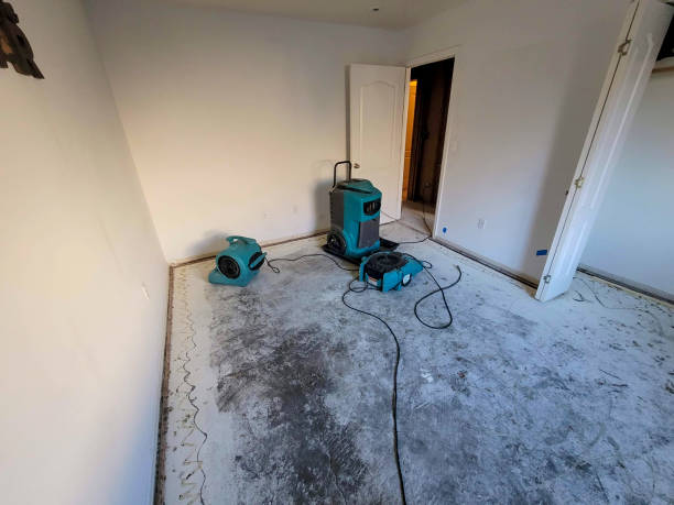 Best Flood restoration services  in Cornelius, NC