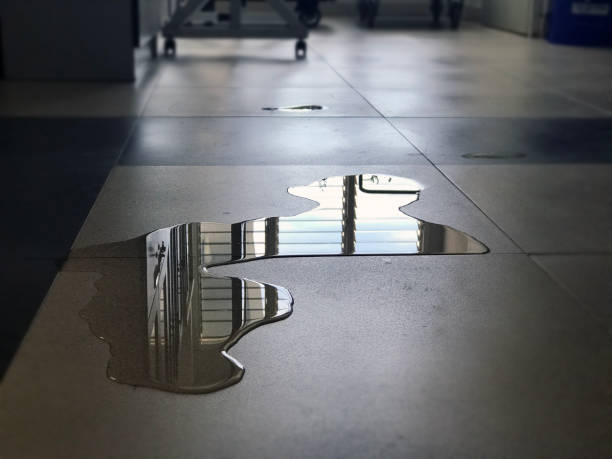 Best Water damage restoration process  in Cornelius, NC
