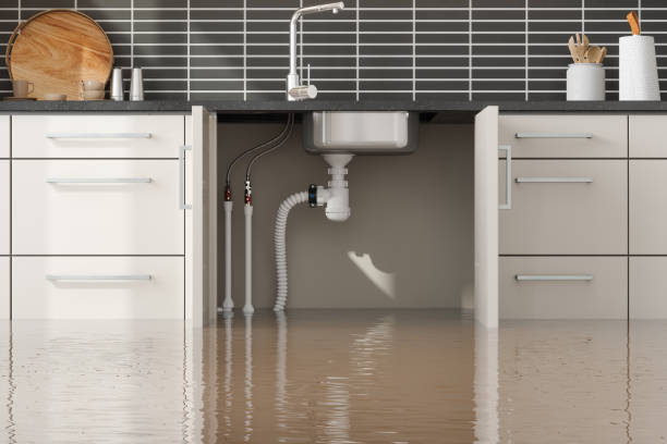 Best Flood restoration services  in Cornelius, NC