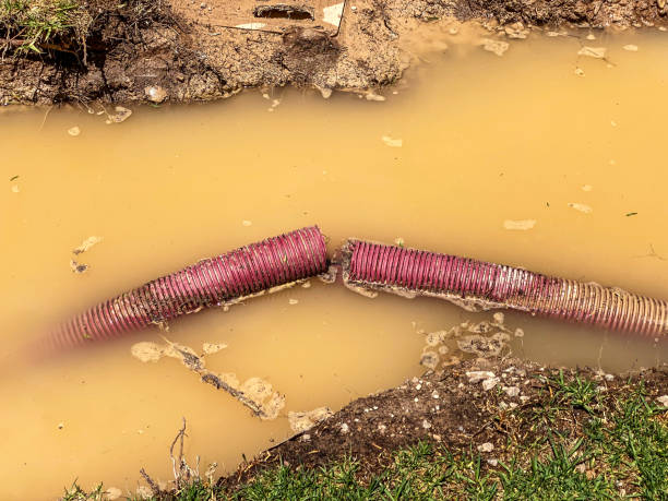 Best Residential water damage restoration  in Cornelius, NC