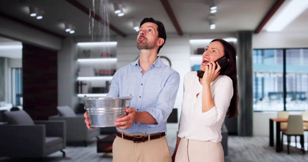 Best Ceiling water damage repair  in Cornelius, NC